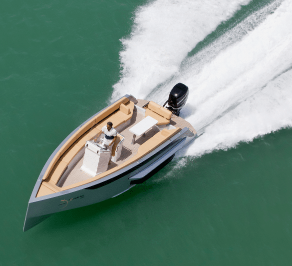 Amphibious vehicles at sea Iguana