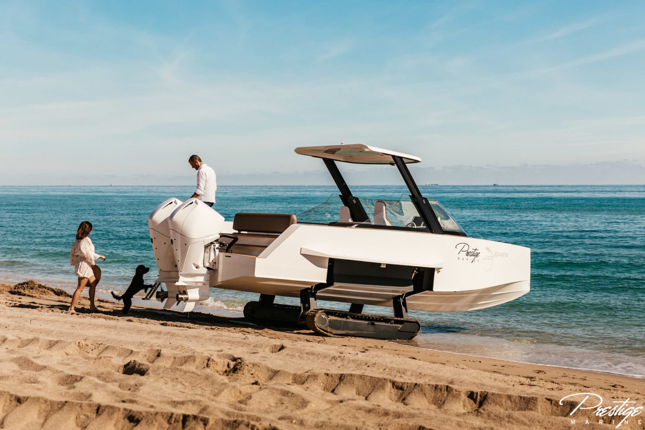 Amphibious vehicles on the beach Iguana