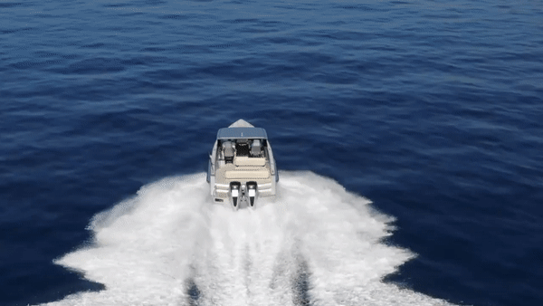 High-tech boats - amphibious Iguana speed