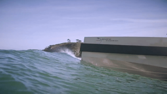 High-tech boats - amphibious Boat Iguana sea