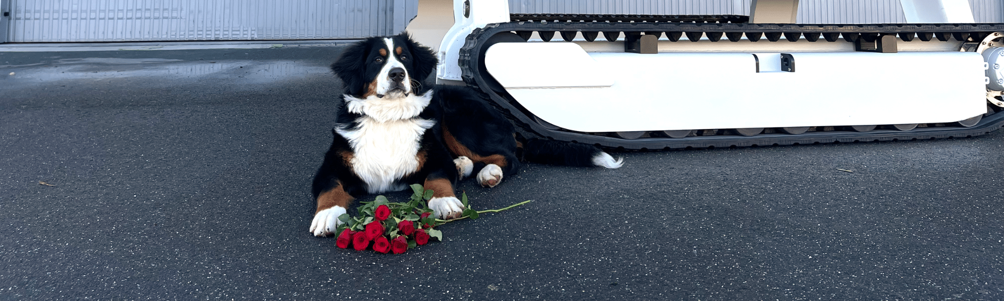 amphibious_boat_valentines_day